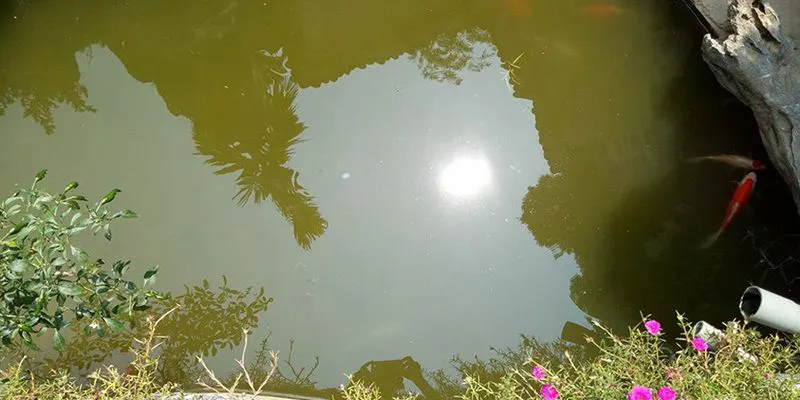 Nằm Mơ Thấy Nước Đánh Con Gì? Bộ Số May Mắn 3 Mơ thấy nước đục