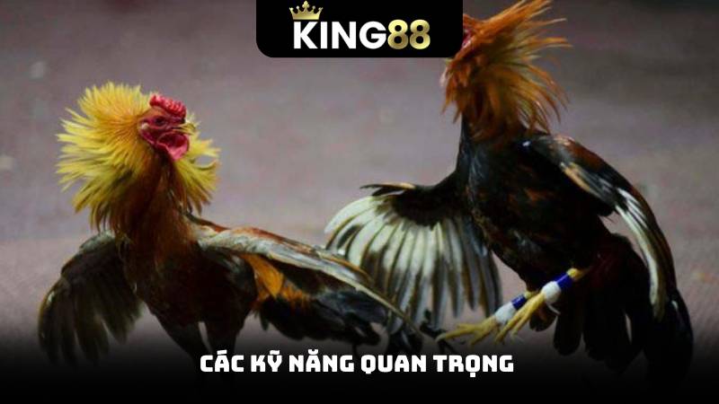 Đá Gà C1 - Thế Giới Những Trận Đấu Hồi Hộp Mỗi Ngày 3 Các kỹ năng quan trọng