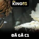 Đá Gà C1